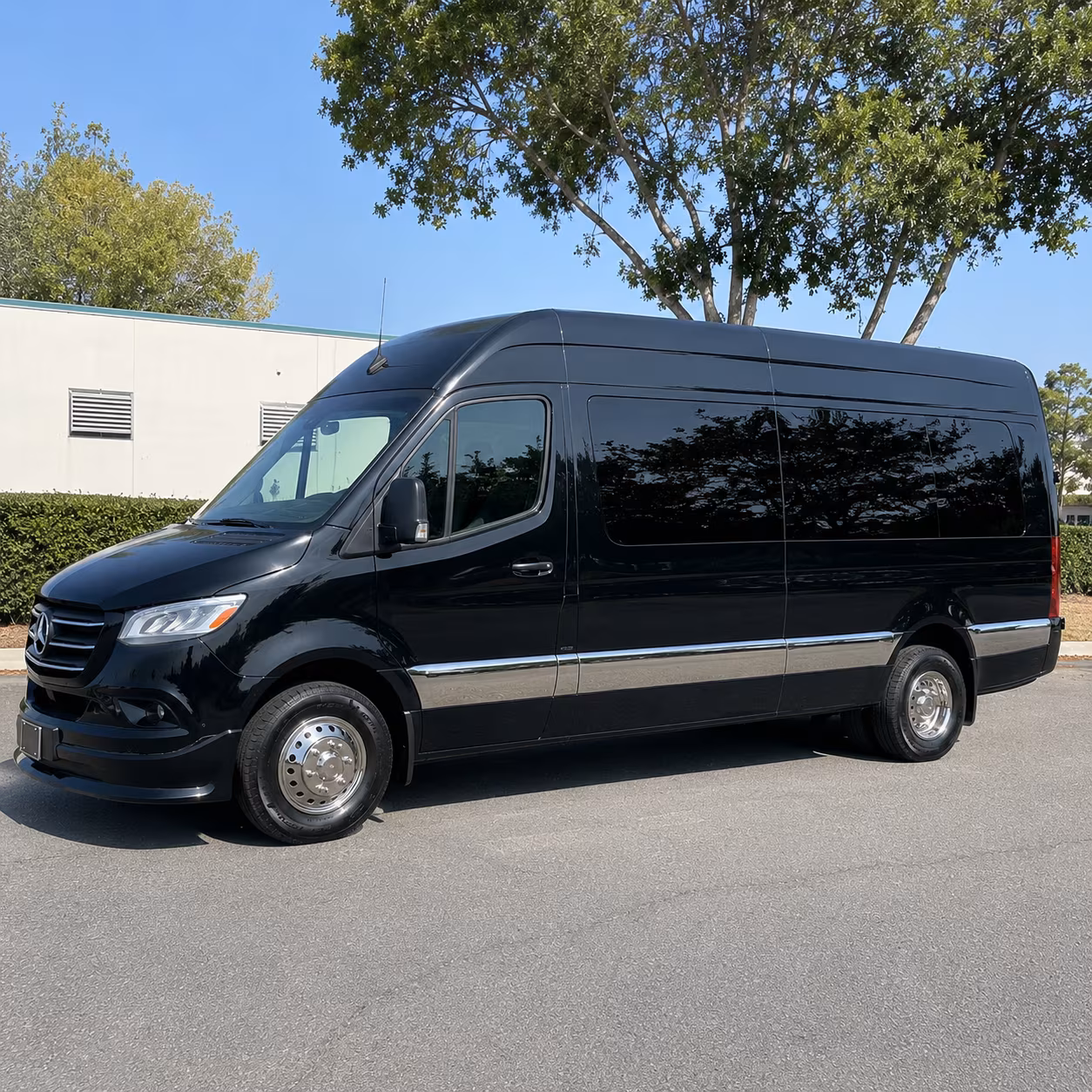 14 Passenger Sprinter Limo